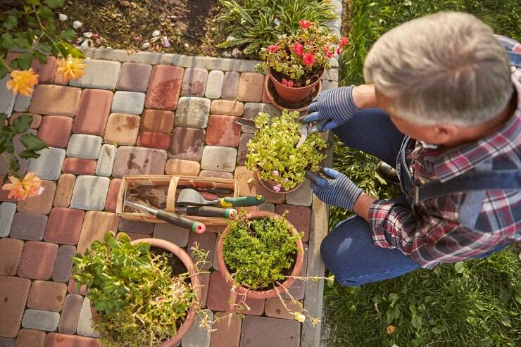 Ландшафтный дизайн сада своими руками